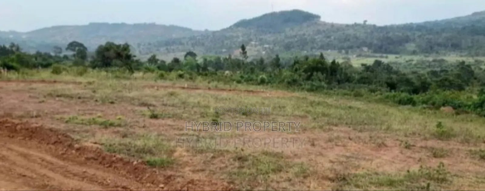 Prime Plots For Sale At Katende~Bumme Hill View Land Estate.