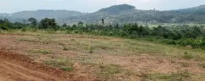 Prime Plots For Sale At Katende~Bumme Hill View Land Estate.