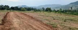Prime Plots For Sale At Katende~Bumme Hill View Land Estate.
