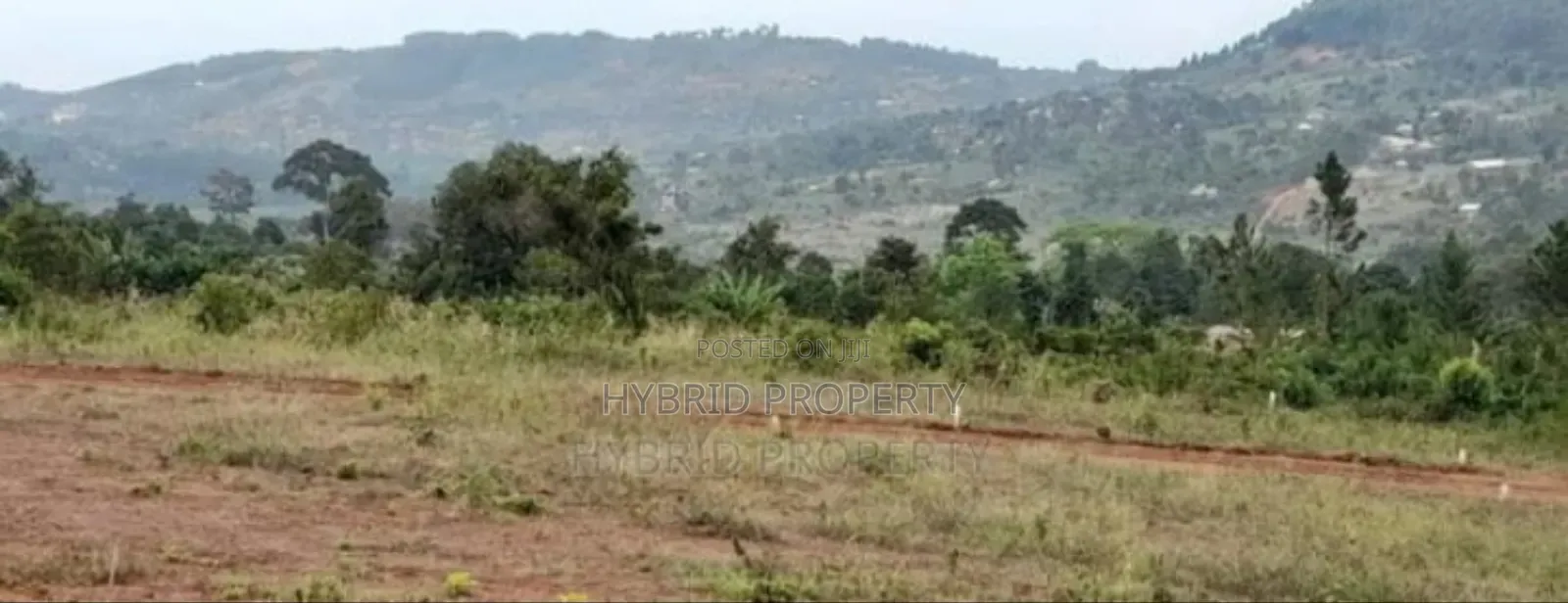 Prime Plots For Sale At Katende~Bumme Hill View Land Estate.