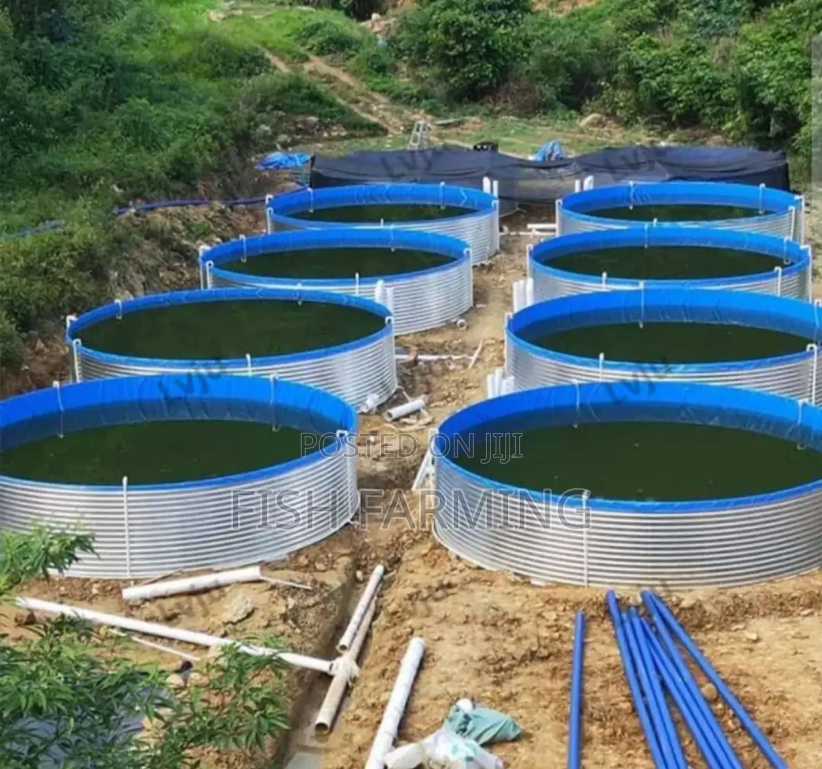 Solar Fish Farm