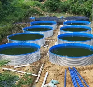 Solar Fish Farm