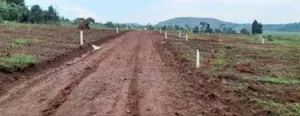 Prime Plots For Sale At Mpigi~Bubuule Land Estate~Masaka Rd.