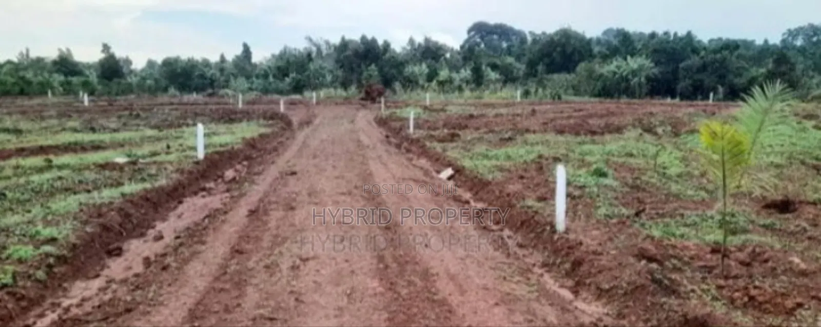 Prime Plots For Sale At Mpigi~Bubuule Land Estate~Masaka Rd.