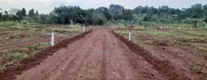 Prime Plots For Sale At Mpigi~Bubuule Land Estate~Masaka Rd.