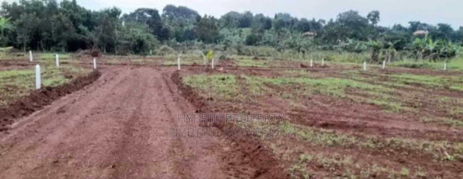 Prime Plots For Sale At Mpigi~Bubuule Land Estate~Masaka Rd.