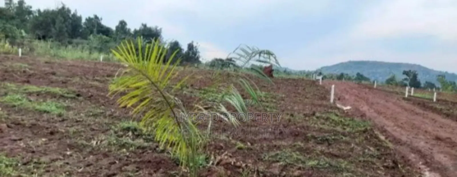 Prime Plots For Sale At Mpigi~Bubuule Land Estate~Masaka Rd.