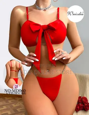 Romantic Net Lingerie