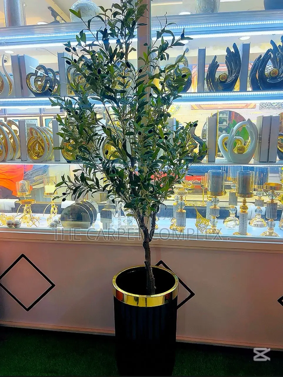 Home Plants Each