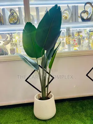 Artificial Plants Each