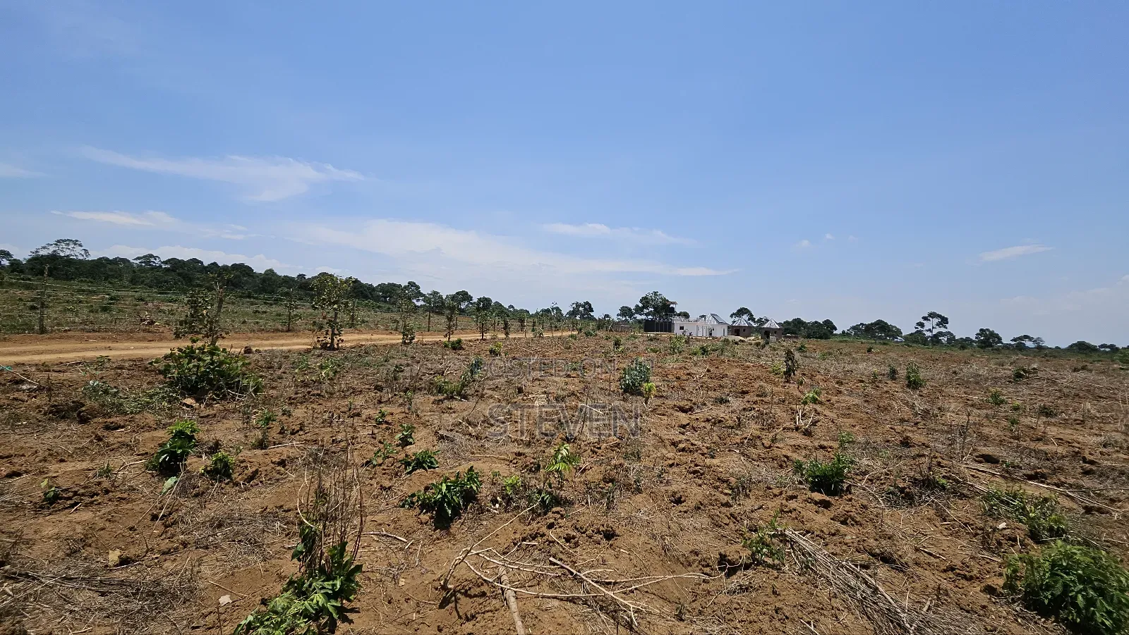 10 Acres on Zinga Island, Bussi Sub County