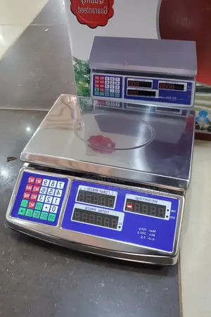Stainless Electronic Weigh Weighing Scale 40kg Digital Weighing Scale