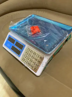 Digital Weighing Scale 40kg Computing Weigh Digital Weighing Scale