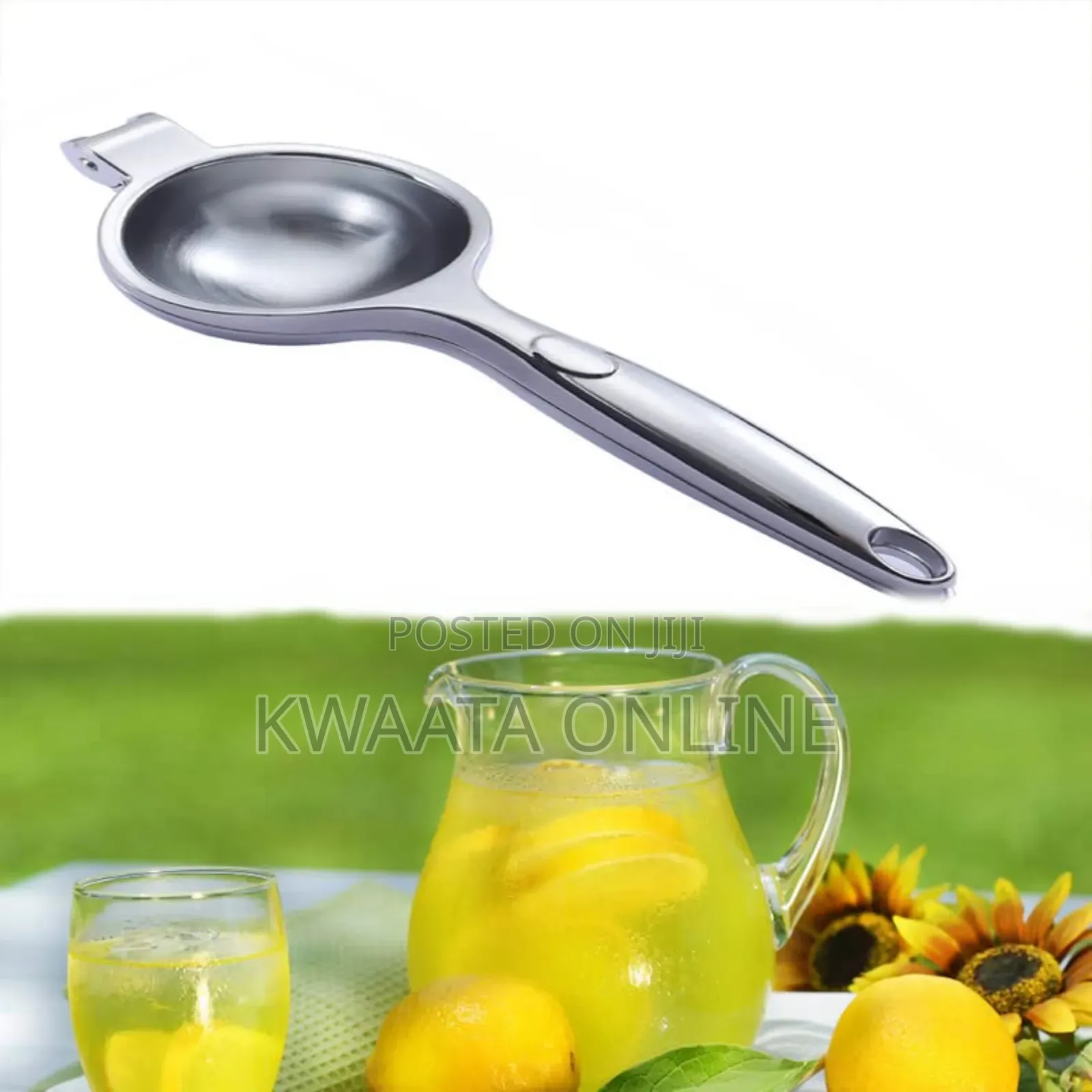 Lemon Squeezer Citrus Press Heavy Duty Hand Press Manual Fruit Juicer