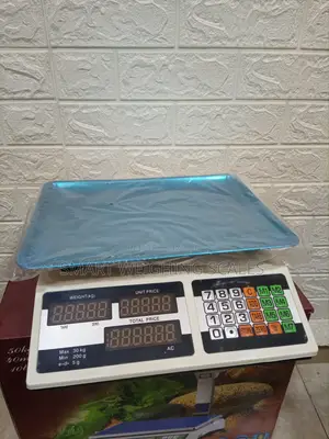 Electronic 30kg Weigh Computing Weighing Scale Portable Weighing Scale