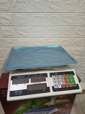 Electronic 30kg Weigh Computing Weighing Scale Portable Weighing Scale