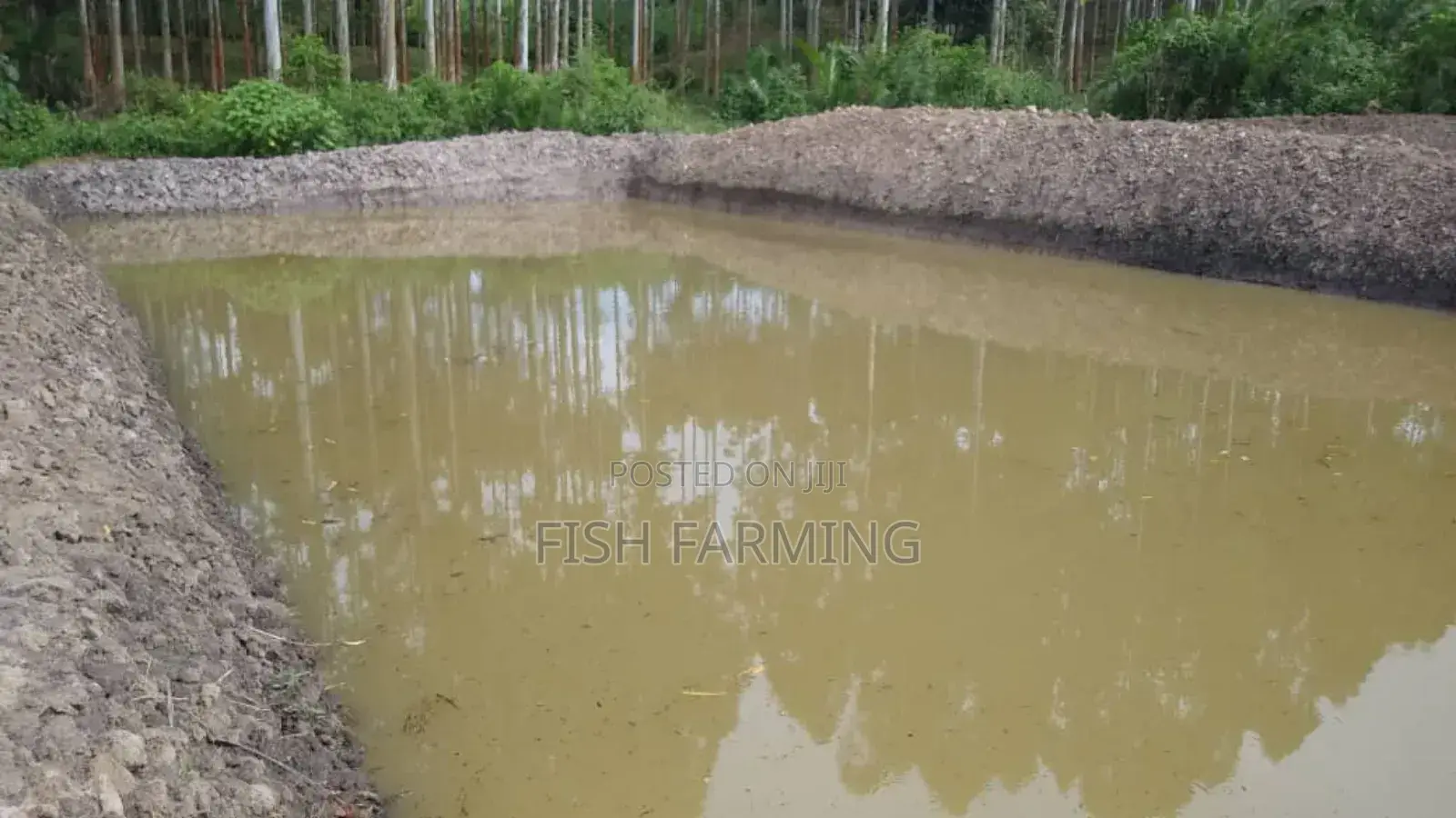 Sanga Fish Farm