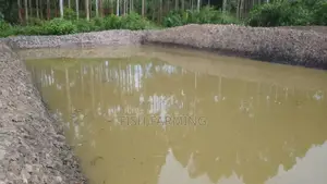 Sanga Fish Farm