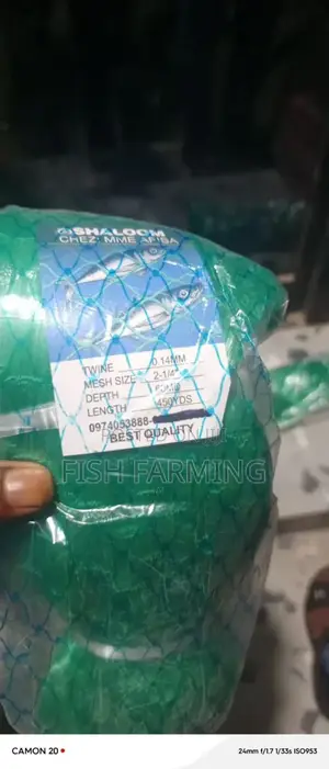 Ugandan Fish Farm