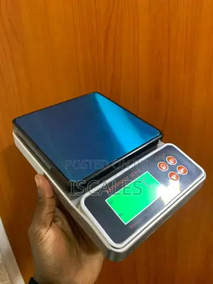 Stainless 10kg Weigh Electronic Weighing Scale Digital Weighing Scale