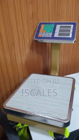 Stainless Weigh 60kg Electronic Weighing Scale Digital Weighing Scale