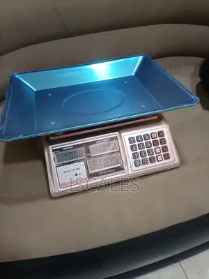 Digital Weigh 60kg Pricing Weighing Scale Digital Weighing Scale