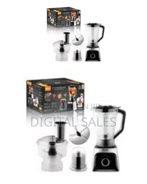 Raf 4 in 1 Electric Powerful Commercial Food