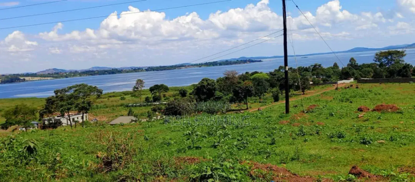 Cage Fish Farm