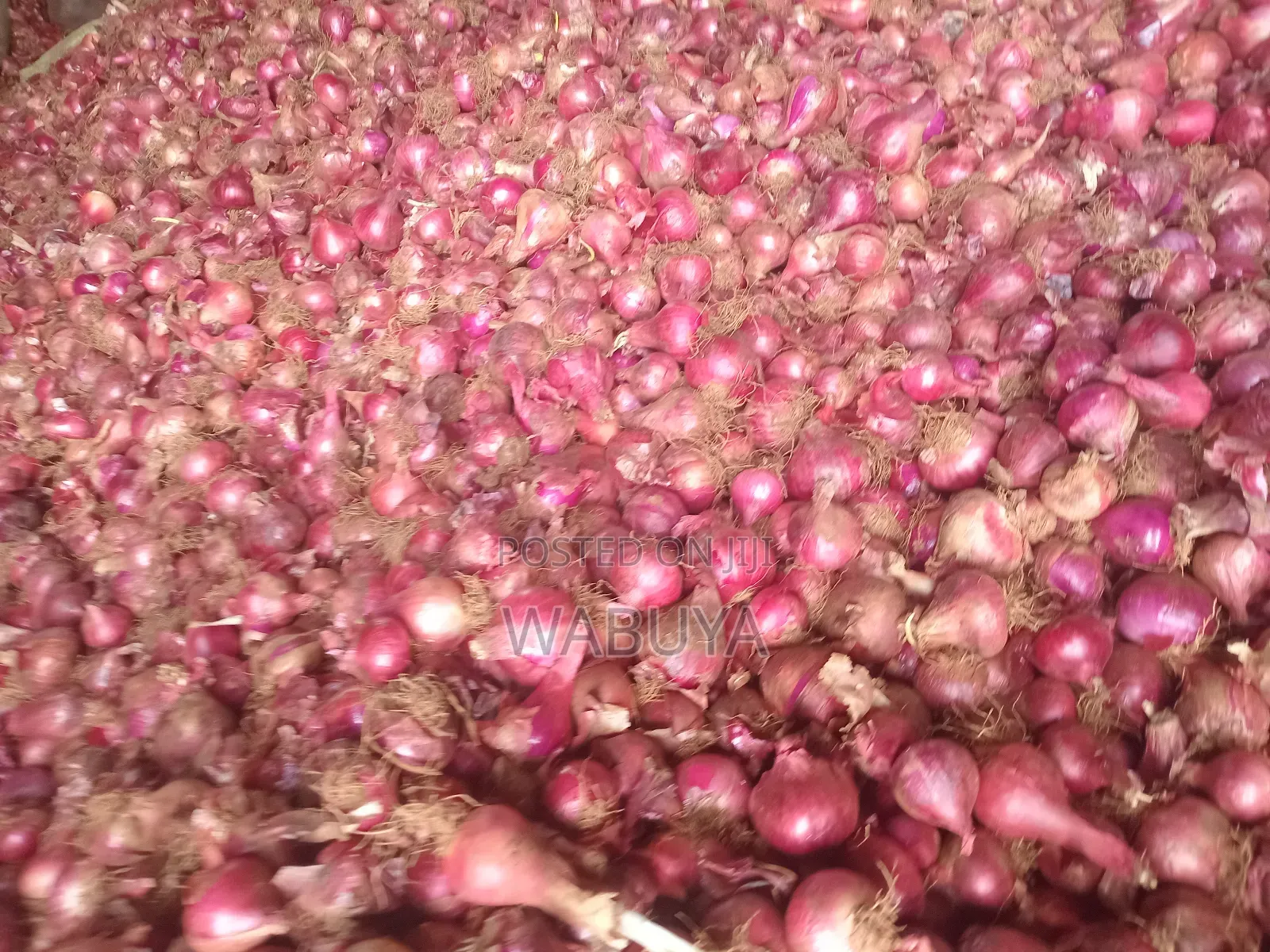 Onions Broker Bumbo Market Mbale