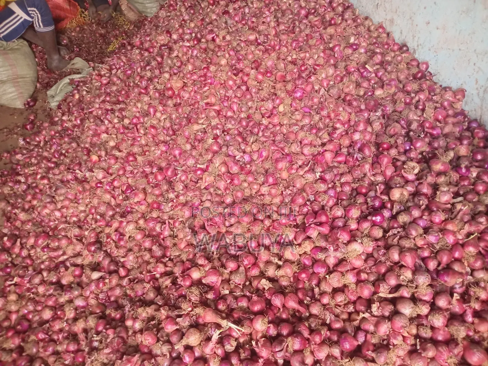 Onions Broker Bumbo Market Mbale