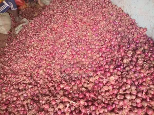 Onions Broker Bumbo Market Mbale