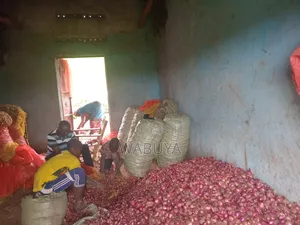 Onions Broker Bumbo Market Mbale