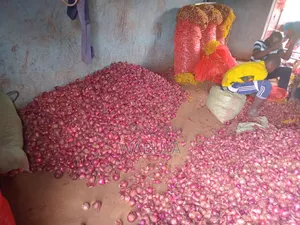 Onions Broker Bumbo Market Mbale