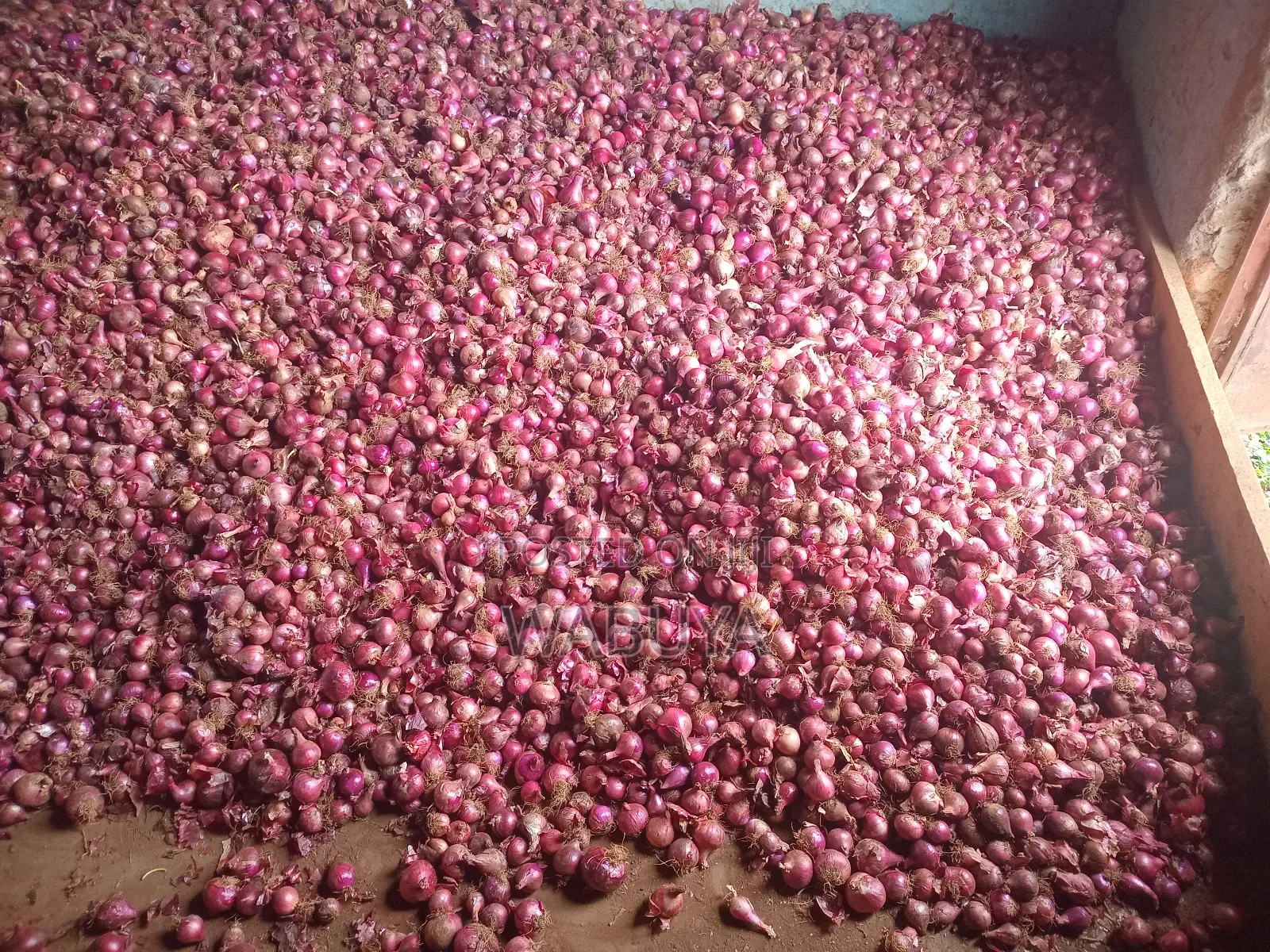 Onions Broker Bumbo Market Mbale