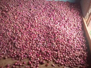 Onions Broker Bumbo Market Mbale