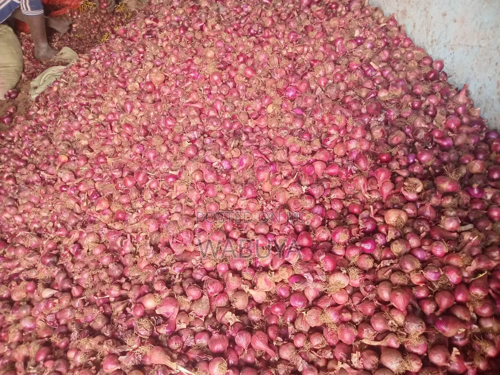 Onions Broker Bumbo Market Mbale