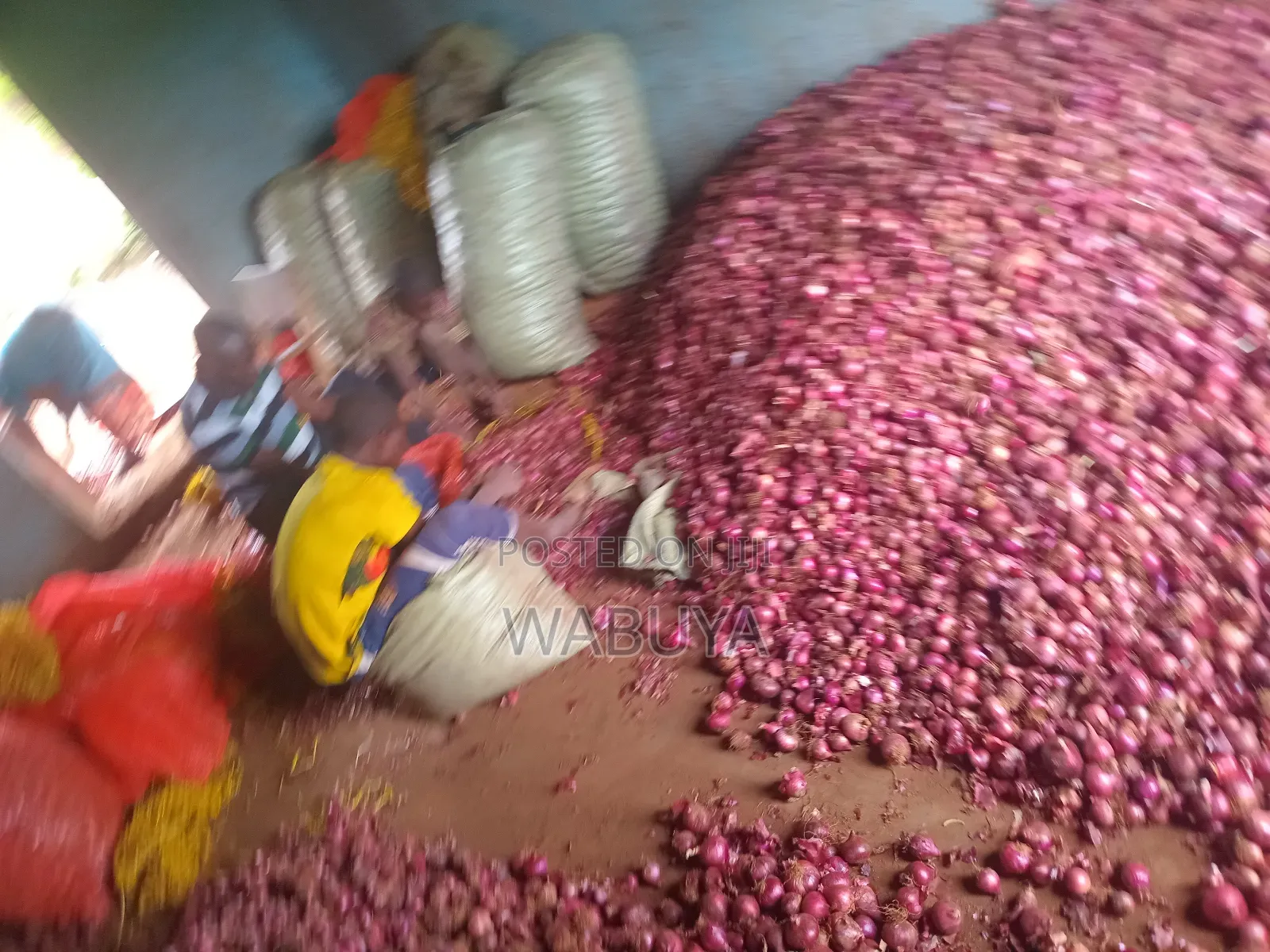 Onions Broker Bumbo Market Mbale
