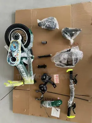 Green and Black Children’S Size 12 Bicycle