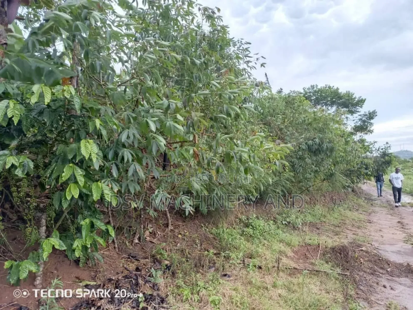 1 Acre/One Acre of Land for Sale at Jeza 100 Decimals
