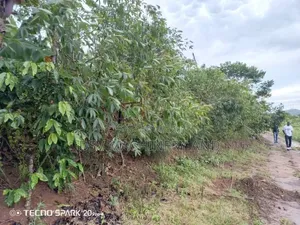 1 Acre/One Acre of Land for Sale at Jeza 100 Decimals