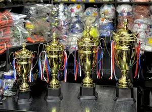 4pc of Trophy Set