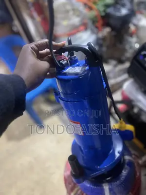 Sub Massive Water Pump