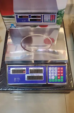 Waterproof Weighing Scale Stainless 40kg Weigh Digital Weighing Scale