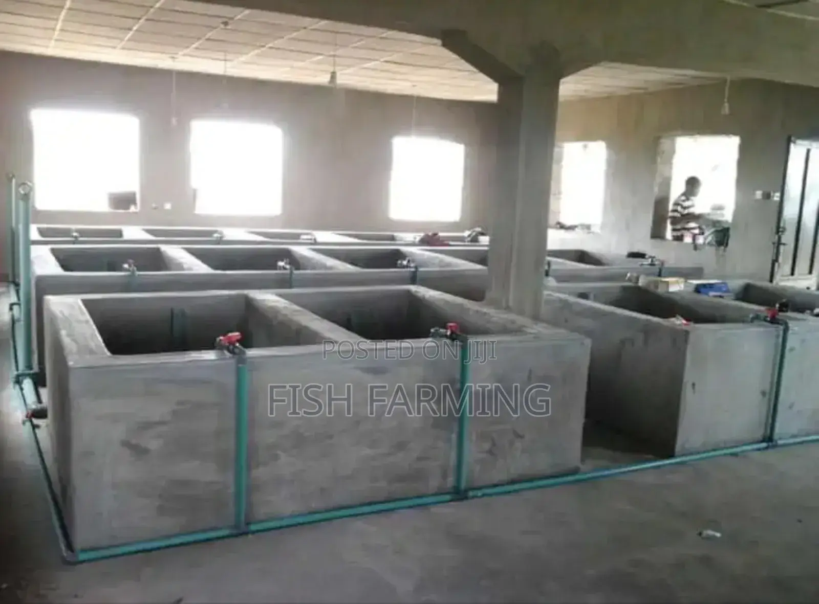Africa Fish Farm