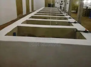 Success Fish Farm Uganda