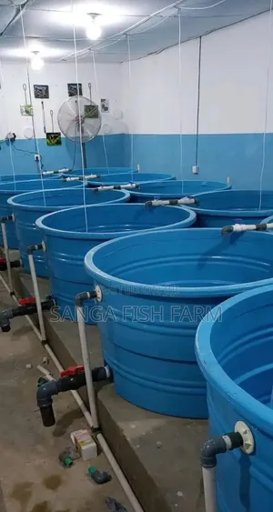 Nairobi Fish Farm
