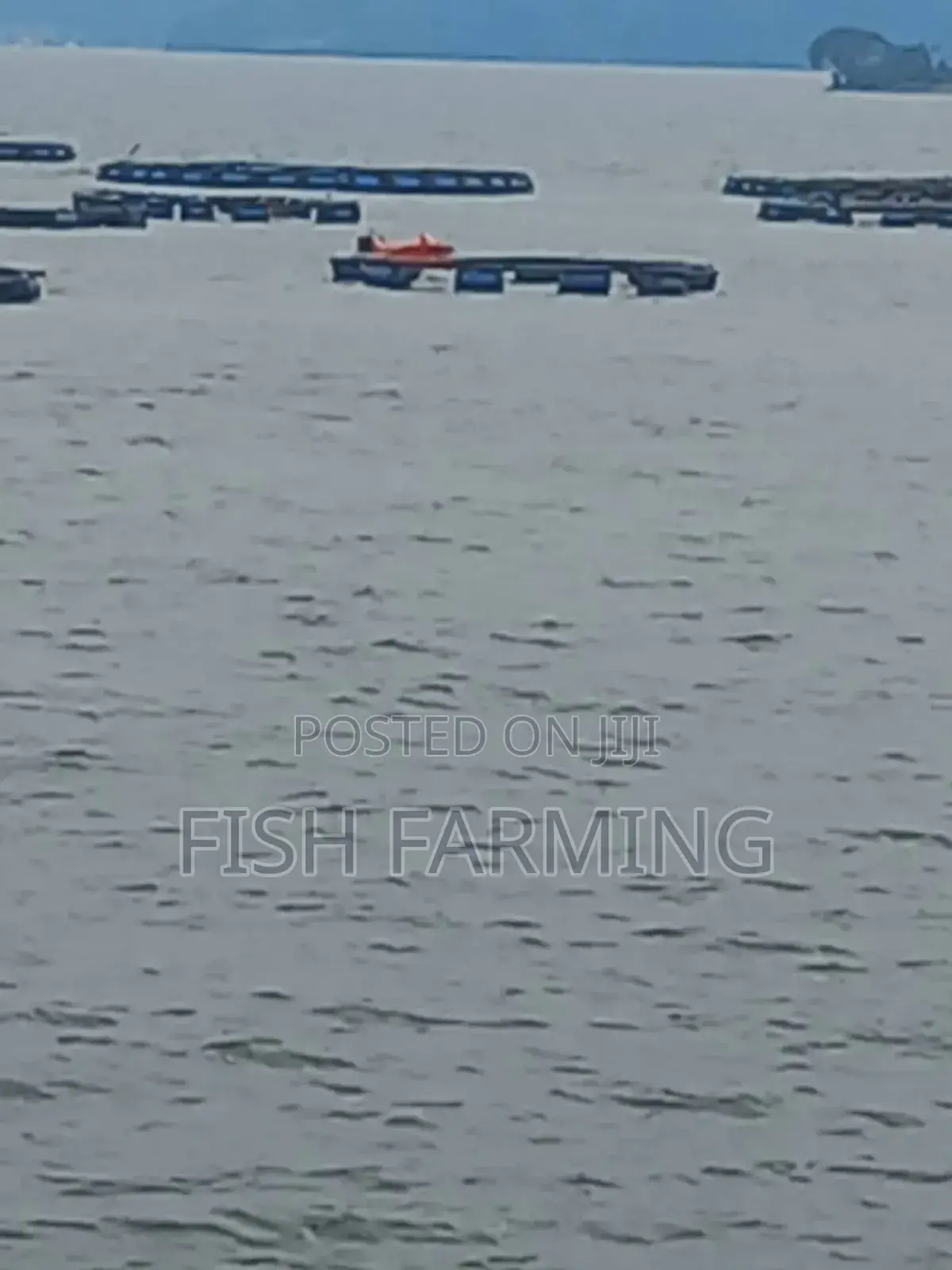 City Fish Farm