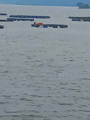City Fish Farm