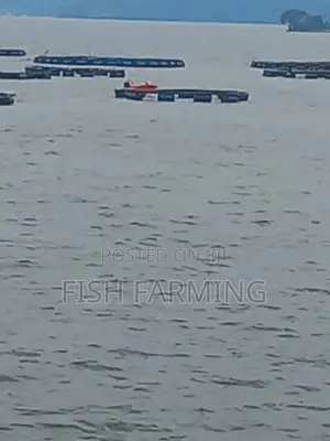 City Fish Farm