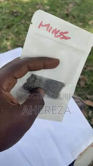 Herb Seeds Thc And Cbd’S